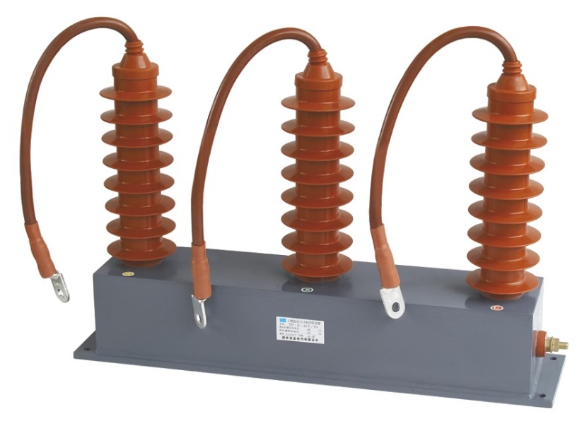 35kV柜內用BF(TBP)-310型